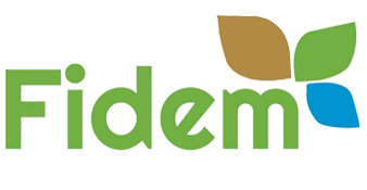 Fidem